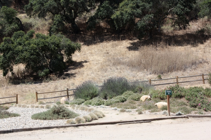 One of the trailheads adjacent to the parking lot